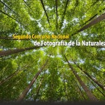 Segundo Concurso de Fotografía de Naturaleza, hasta el 29 de febrero