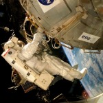 Hongos de la Antártida sobreviven a condiciones marcianas en la Estación Espacial Internacional