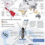 La evolución del Zika, origen y expansión