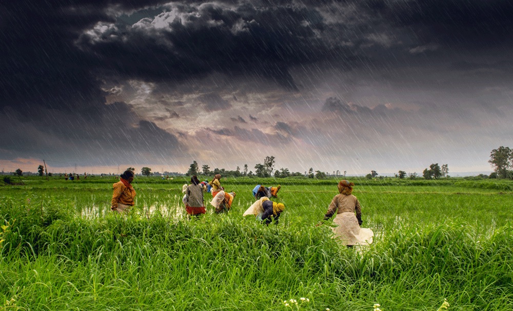 Lluvia en la India -Rajarshi Mitra