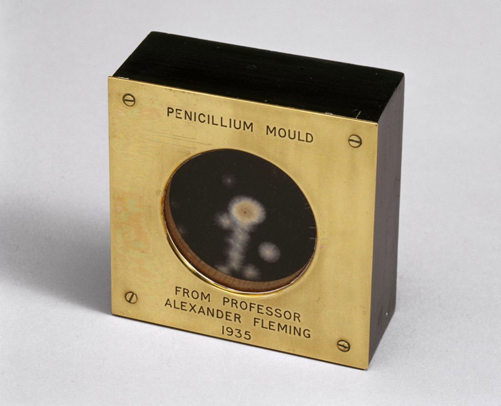 Muestra de moho Penicillium presentada por Alexander Fleming a Douglas Macleod , 1935