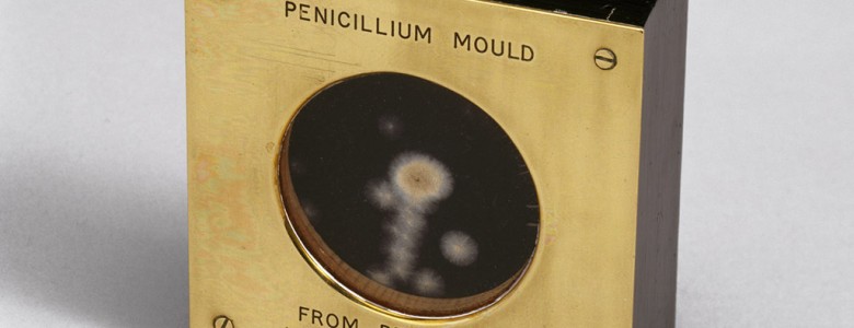 Muestra de moho Penicillium presentada por Alexander Fleming a Douglas Macleod , 1935