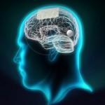 Sensores de grafeno para «comunicarse» con el cerebro (VIDEO)