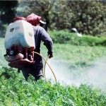 Los insecticidas organofosforados también predisponen al cáncer