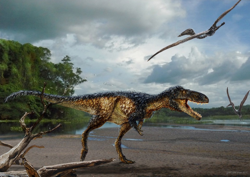 Tyrannosaurus Rex- Todd Marshall