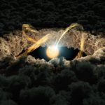‘Ecos de luz’ para medir las distancias de los discos protoplanetarios