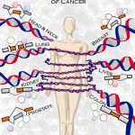 Científicos hallan un nuevo mecanismo molecular implicado en el desarrollo de cáncer