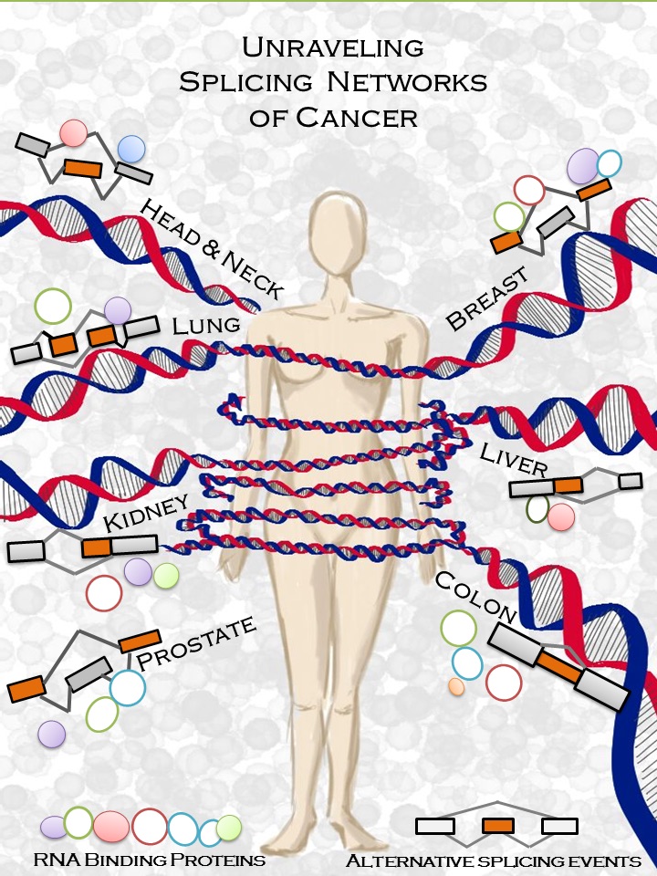 Mecanismo molecular del cáncer- Babita Singh-UPF