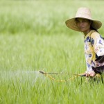 Estudian depresión psicológica en campesinos por uso de pesticidas