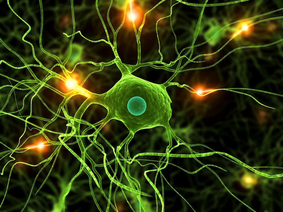 Reacción de las neuronas en el Parkinson