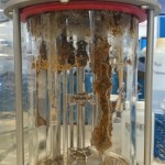 Biotecnología para eliminar ampicilina de aguas residuales