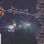 Primera detección de la molécula PO en regiones de formación estelar