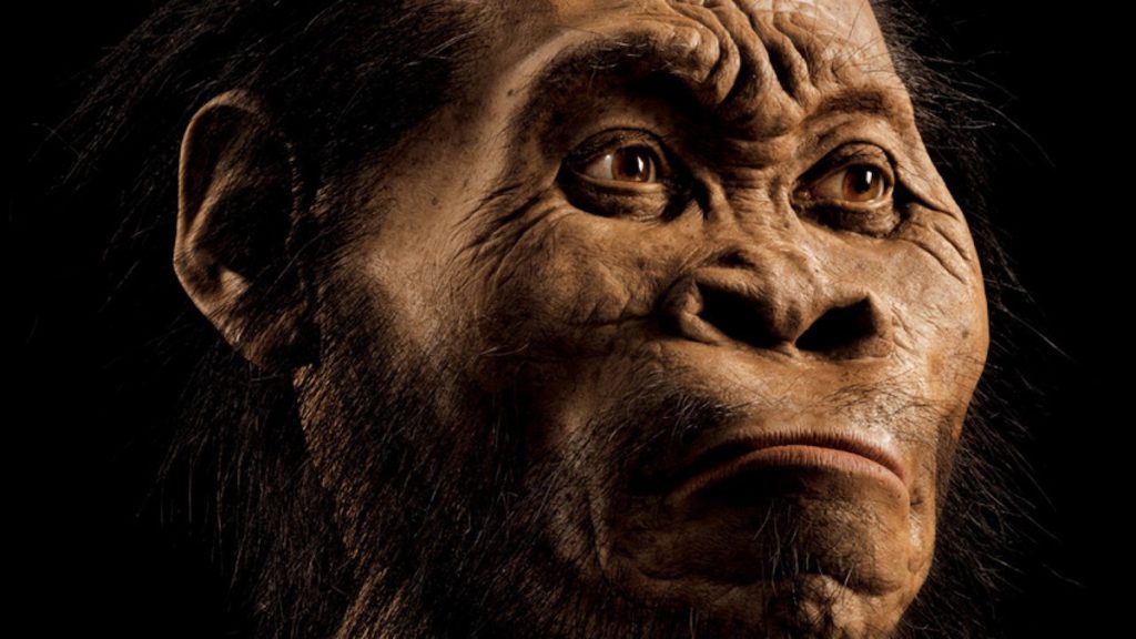 Homo naledi por el paleoartista John Gurche
