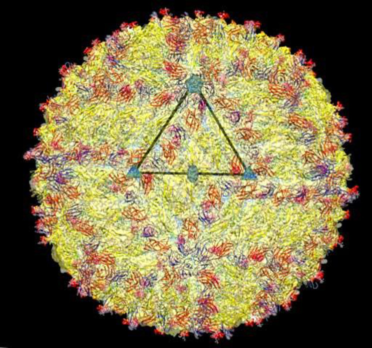 Imagen realizada con criomicroscopía electrónica de la estructura del Zika. El triángulo muestra la unidad asimimétrica del virus- Richard Kuhn, Purdue University