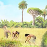Los humanos modificaron la vegetación de la isla Gran Canaria, hace 9,600 años