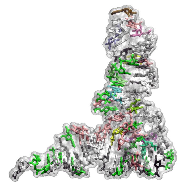 Representación 3D de un ARN de transferencia- Pablo Dans, IRB Barcelona