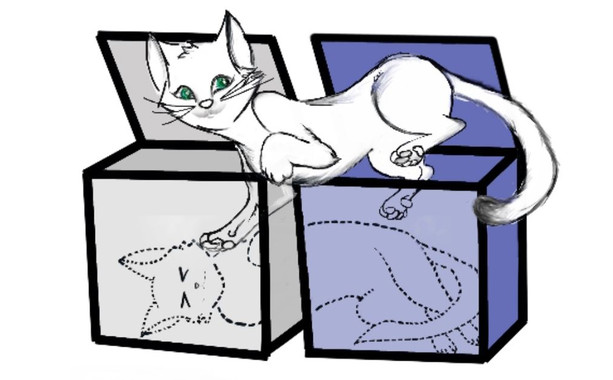 Un gato de Schroedinger vivo y muerto en dos cajas al mismo tiempo