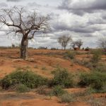 La desertificación, la degradación de las tierras, la sequía y el cambio climático están interrelacionados