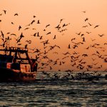 El primer tratado mundial contra la pesca ilegal entra en vigor