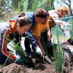 Crean jardín para la conservación de plantas medicinales de Xochimilco