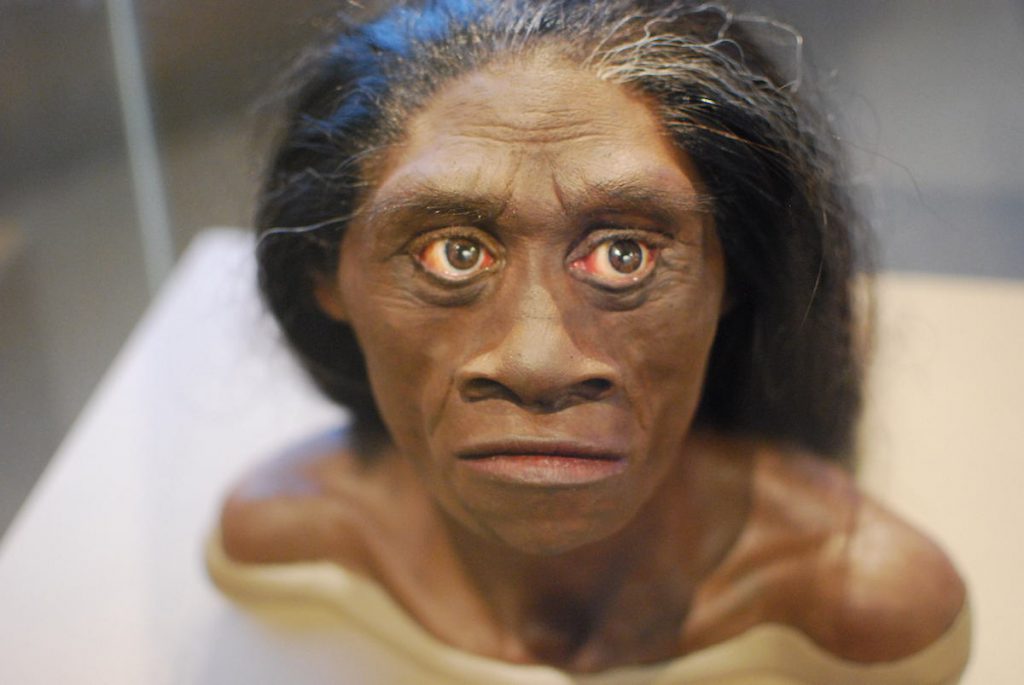 Reconstrucción de una mujer Homo floresiensis- Karen Neoh