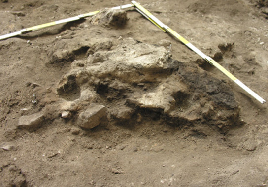 Residuos quemados de la edad calcolítica desenterrados en San Cristóbal- Javier Fernández-Eraso