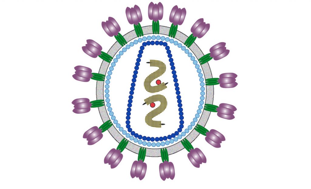 Retrovirus VIH