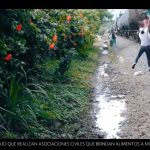 Spot Migrantes