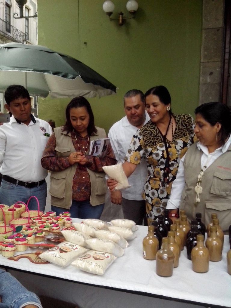 La diputada Marcela Aguilera Landeta inauguró la exposición artesanal, gastronómica y cultural que se instala en bajos de palacio de Gobierno del Estado