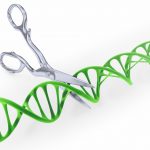 El origen de CRISPR-Cas contado por un microbiólogo y un genetista