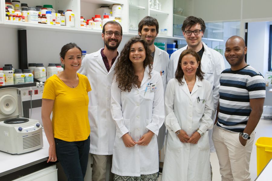 Maite Huarte y Francesco Marchese (primera y segundo por la izquierda) junto a su equipo de investigadores del CIMA. / Manuel Castells