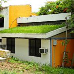 «Techos verdes» disminuyen la temperatura de las casas hasta 17º con el exterior