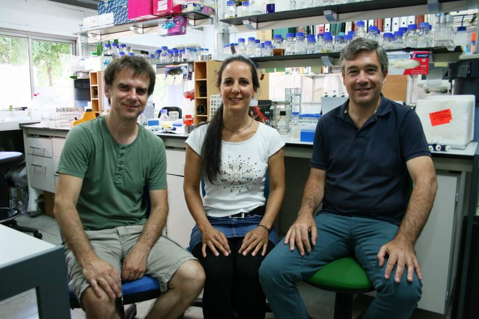 De izq. a dcha., los investigadores de la Universidad de Sevilla Veit Goder, Leticia Lemus y Manuel Muñiz. / US