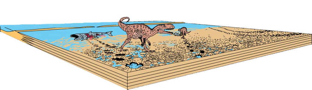 Reconstrucción paleoambiental de la laguna con el recorrido de los megalosáuridos. / Oriol Oms / UAB