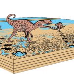 Dinosaurios carnívoros esperaban la marea baja para ir a pescar