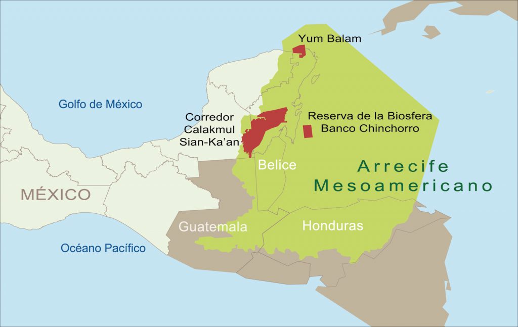 Sistema Arrecifal Mesoamericano- WWF