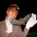 Murciélagos «Los Amos de la Noche»: Sábados en la Ciencia