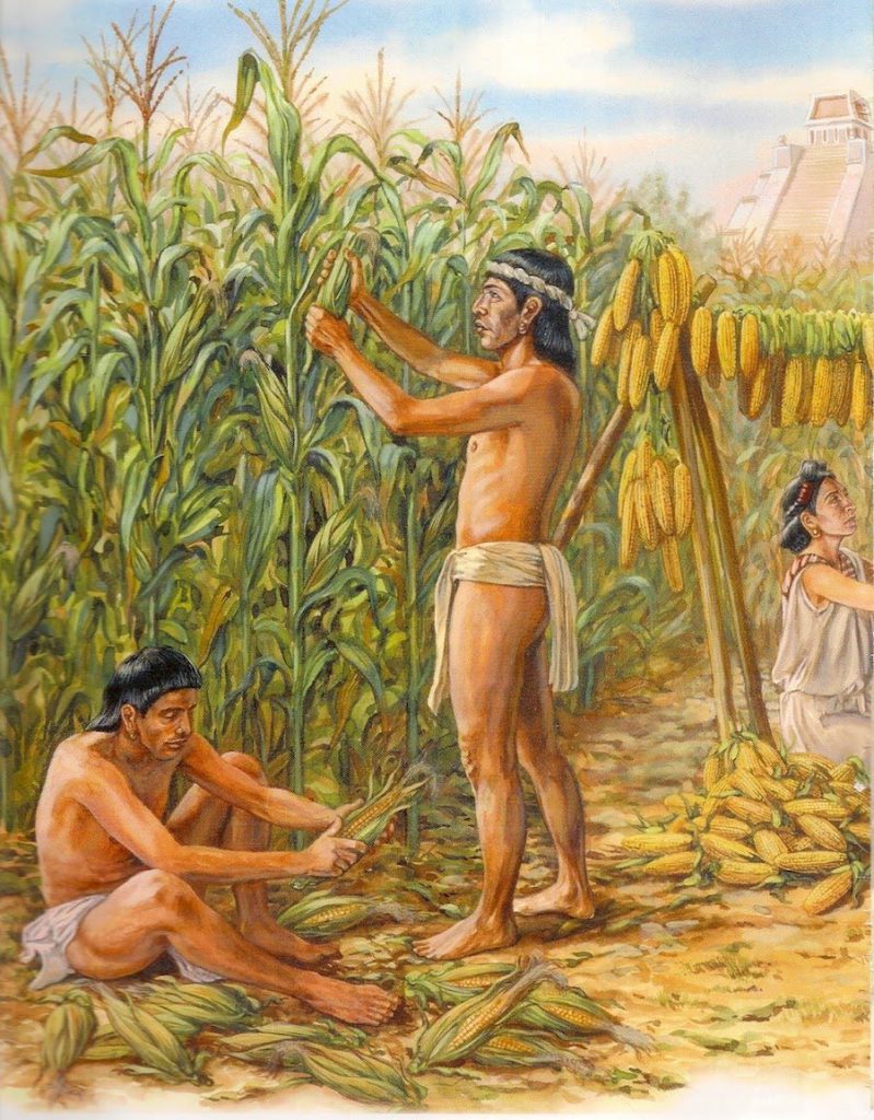 Agricultura prehispánica