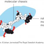 La maquinas moleculares que ganaron el Nobel de Química y sus potenciales aplicaciones