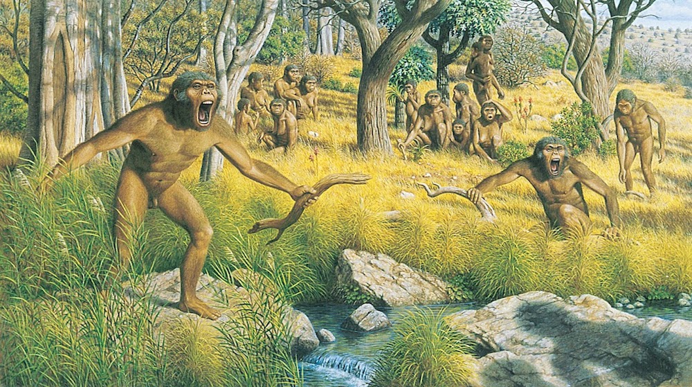 Australopithecus afarensis defendiendo su territorio