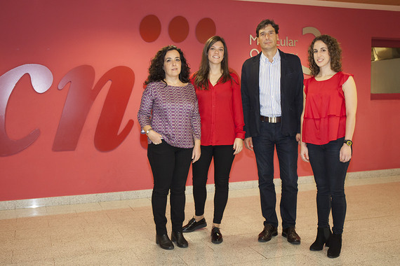 De izquierda a derecha, Cristina Pantoja, Lluc Mosteiro, Manuel Serrano y Noelia Alcázar, del Grupo de Supresión Tumoral. / CNIO