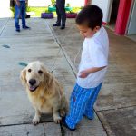 Oliver, un buen compañero para la educación especial