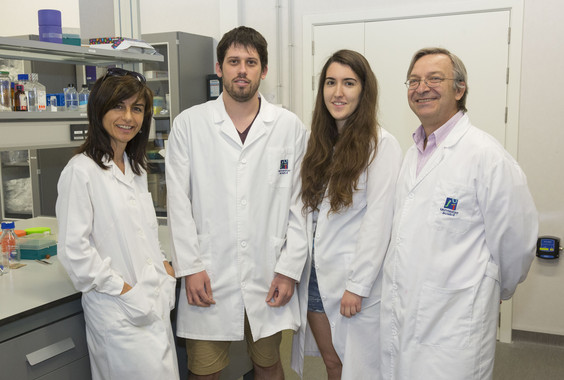 Miembros del Grupo de Investigación en Neurobiotecnología de la Universitat Jaume I de Castellón. / UJI