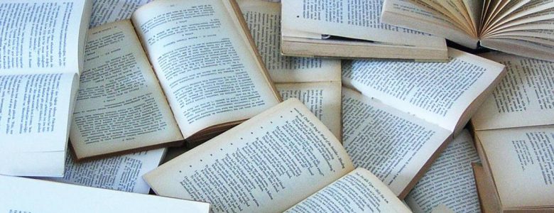 Hispanoamérica ha renunciado a hacer historia literaria Libros, literatura