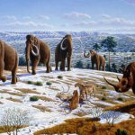 Mamuts y rinocerontes habitaron el noreste peninsular hace más de 40.000 años