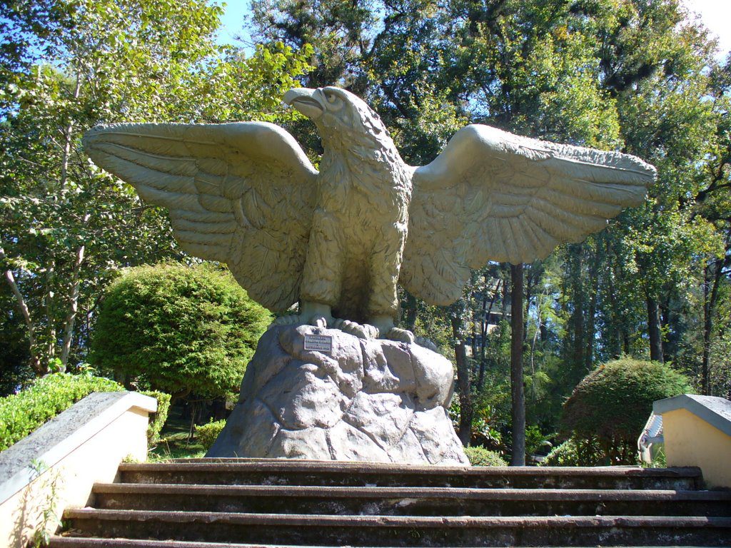 Escultura de El Águila, de Guillermo Rodríguez, Rectoría de la UV, zona de Los Lagos