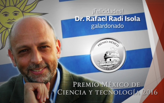 Rafael Radi Isola