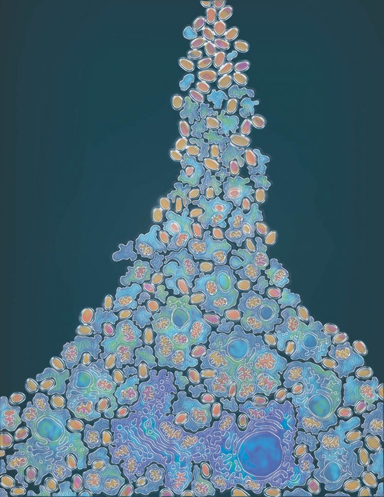 Evolución de células complejas- Blair Lyons, Stroma Studios