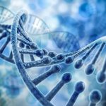 Una nueva maquinaria de reparación de errores en el ADN