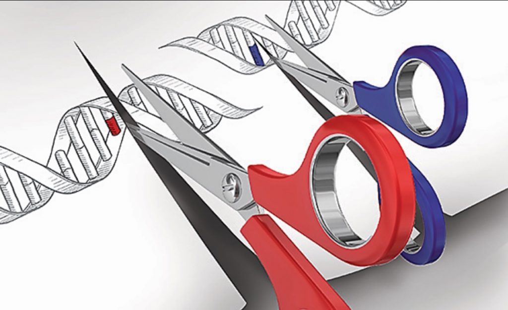 Edicion de genoma, ADN